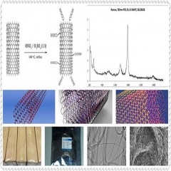 carbon nanotubes(CNTs)