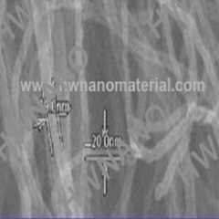 Carbon Nanotubes and Nanoparticles Composites