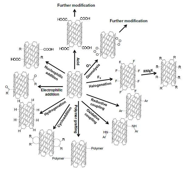 탄소 나노 튜브 (cnts) 표면의 기능적 변형